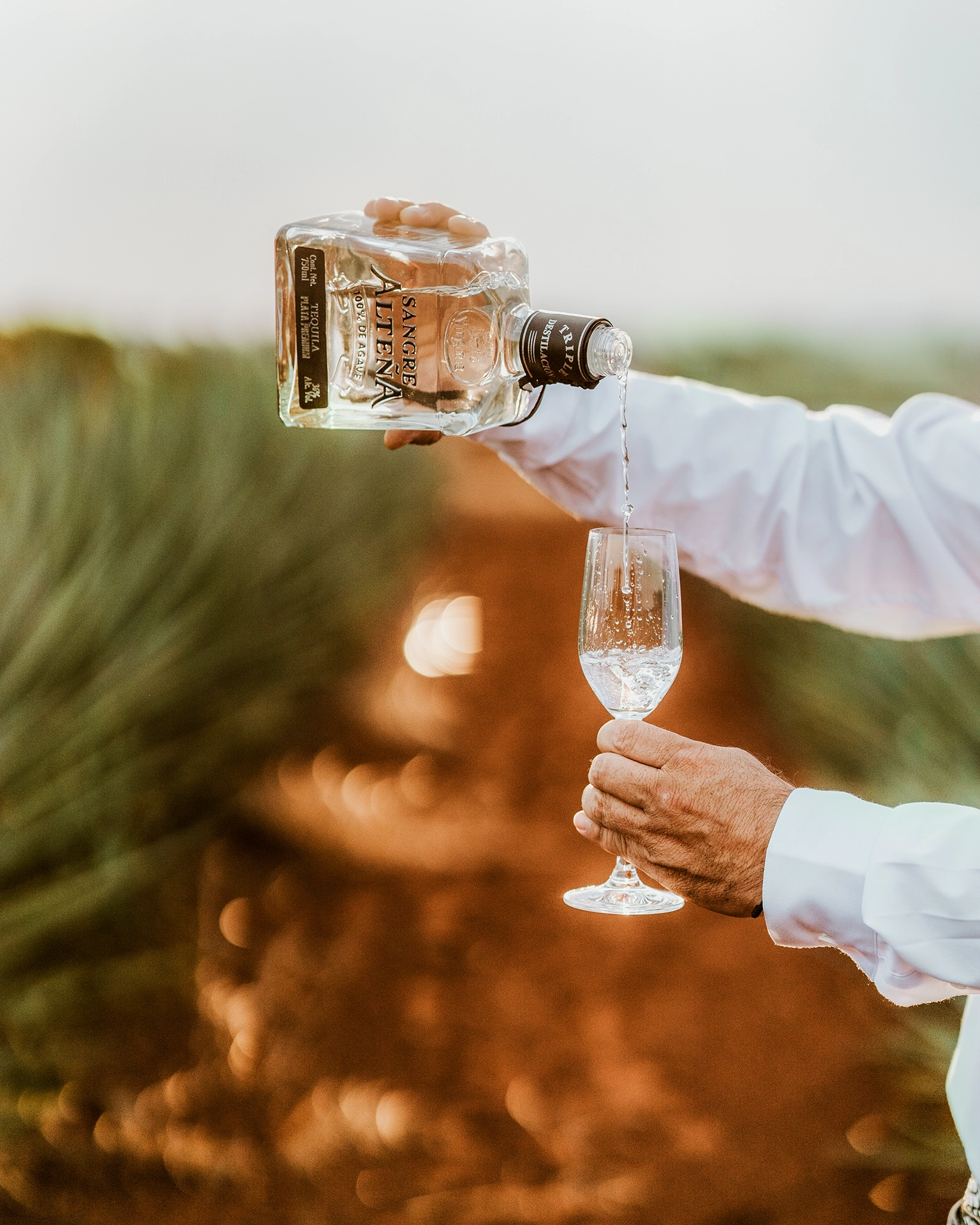 Sangre Alteña - Tequila Plata Premium